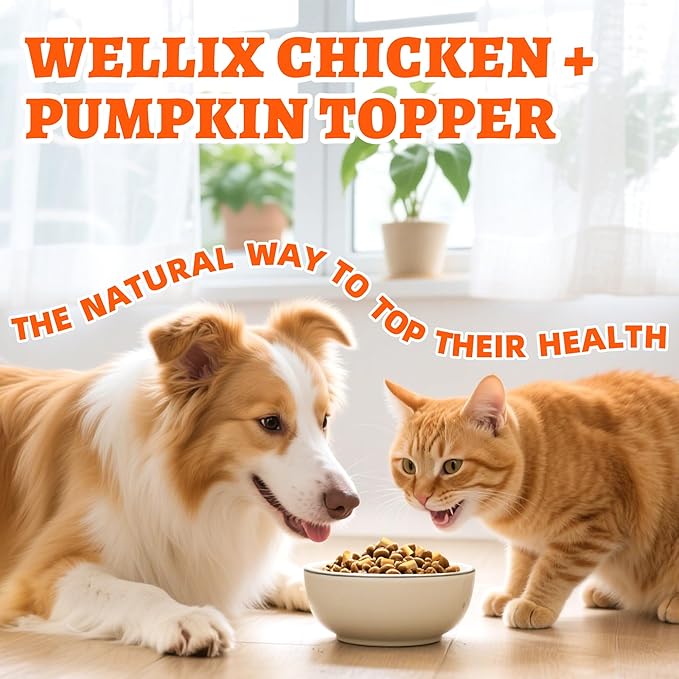 Wellix Chicken & Pumpkin Raw Treat – Freeze Dried Chicken Snacks, Pet Food Topper, Grain Free, Crunchy Cat Treats for Indoor Cats - for Small, Medium & Large Cats & Dogs