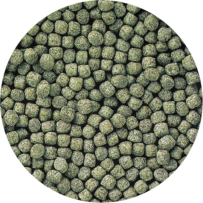 Hikari Staple Fish Food for Koi and Other Pond Fishes, Mini Pellets, 11 lb. (5 kg)