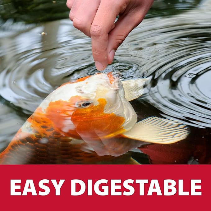 The Pond Guy Spring & Fall Wheat Germ Fish Food for Koi & Goldfish, Premium Cold Weather Floating Pellets, Healthy Formula for Winter Nutrition, 12 lbs