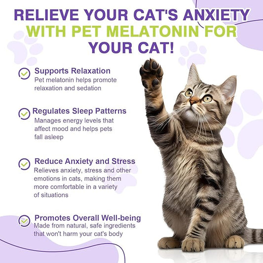 Cat Melatonin, Melatonin for Cats, Cat Tranquilizer to Anxiety Relief for Cats and Stressful Emotions in Cats, Cat Sleep Aid to Promote Relaxation and Entry into Sleep in Cats