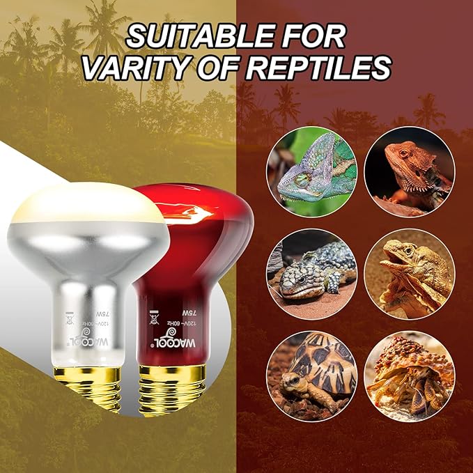WACOOL 2Pack 75W Reptile Heat Lamp Day & Night Kit, Nature Simulated Basking Daylight & Nightlight Heat Lamp Bulbs for Reptiles & Amphibians, UVA Heat Lamp for Bearded Dragon Gecko Turtle Lizard