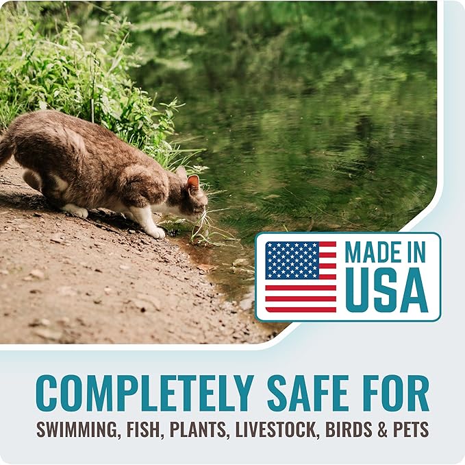 Pond Clear Water Treatment - 16 Pack for 8 Months of Pond Cleaner Supply - Pond Clarifier for Outdoor Ponds – 100% Natural Pond Bacteria Packets - Made in The USA - Safe for Fish, Pets, and Swimming