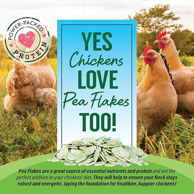 Small Pet Select - Pea Flakes, Treats for Rabbit Bunny, Guinea Pig, Chickens, Bunny, Hamster, and Other Small Pets, 2 lb (Two Pack, 1lb)