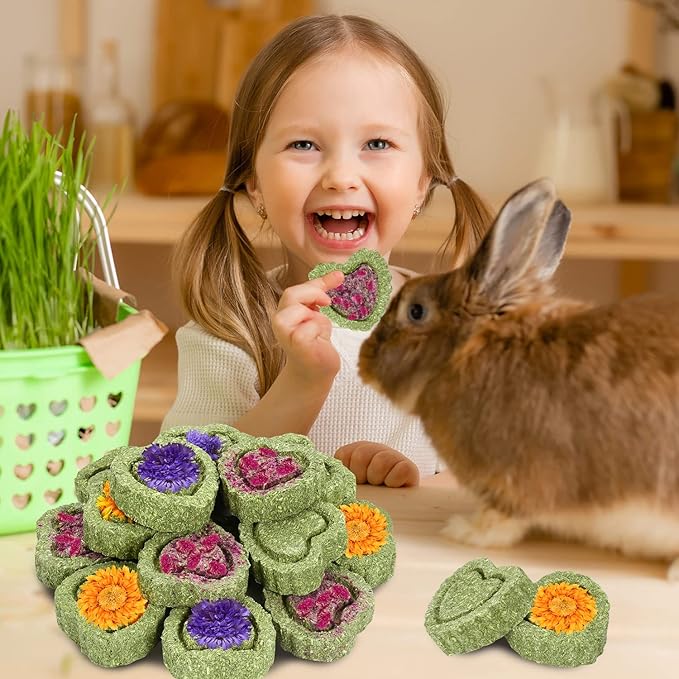 20PCS Bunny Chew Toys, Rabbit Toys for Bunny's Teeth, Chinchilla, Hamster, Guinea Pig & Pig, Organic Timothy Hay Cakes for Teeth Grinding & Dental Health