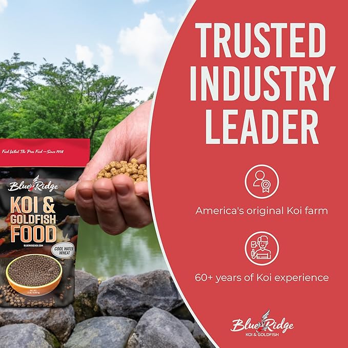 Blue Ridge Koi Fish Food 2lb - Cool Water Wheat 3/16", Fall and Winter Floating Pond Pellets, Ponds Fish Food