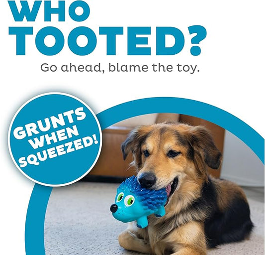 Outward Hound Tootiez Hedgehog Grunting Latex Rubber Dog Toy, Large