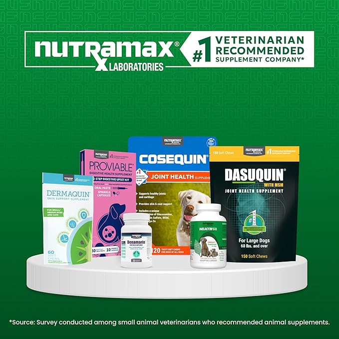 Nutramax Dermaquin Skin Support Supplement for Large Dogs, Supports Healthy Response to Allergens, with Hardy Kiwi, Omega-3s, and More, Tasty Soft Chews, 60 Count