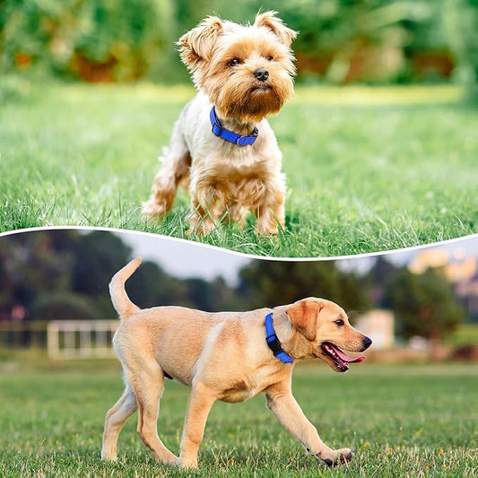 Reflective Dog Collar Padded with Soft Neoprene Breathable Quick Release Basic Dog Collars for Medium Large Dogs Blue Boy Girl