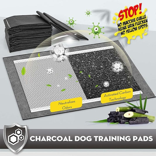 CROCI Charcoal Puppy Pads 23"x24" Standard Size, Odor-Control Carbon Dog Training Pads Absorbs Up to 4 Cups of Liquid, 6-Layer Leak-Proof & Quick Dry Pee Pads for Dogs, Disposable (100 Counts)