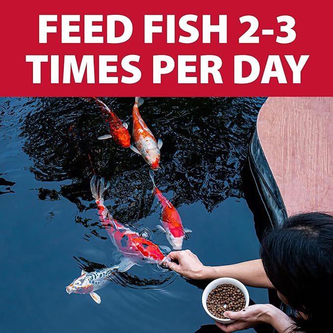 The Pond Guy Staple Fish Food for Backyard Koi & Goldfish, Choice Floating Pellets for Fish Wellness & Health, Smart Nutrition for Clean Ponds, 2 lbs