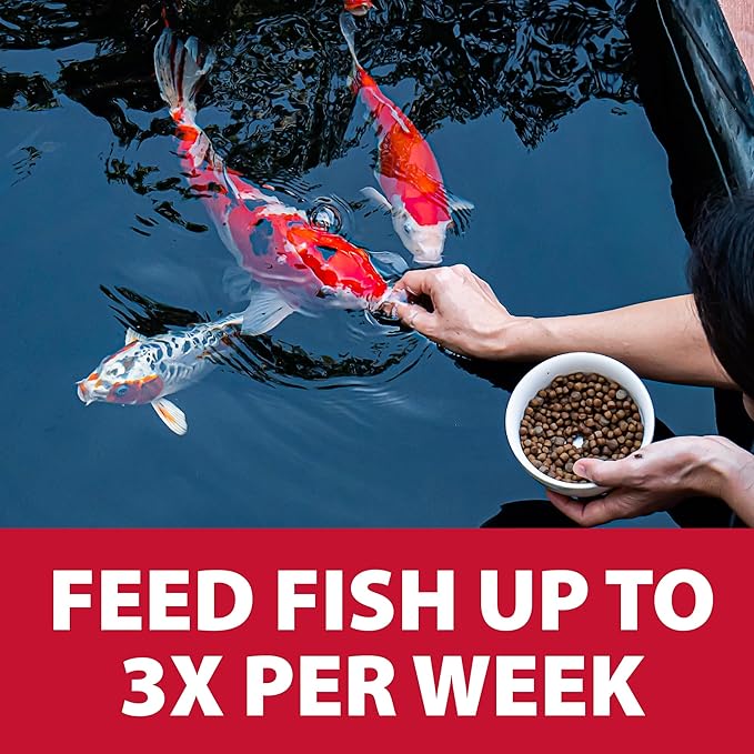 The Pond Guy Spring & Fall Wheat Germ Fish Food for Koi & Goldfish, Premium Cold Weather Floating Pellets, Healthy Formula for Winter Nutrition, 12 lbs
