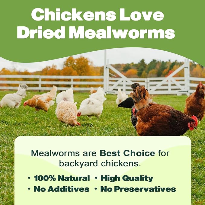 Dried Mealworms -11 LBS- 100% Natural Non GMO High Protein Mealworms - Bulk Mealworms for Wild Birds, Chicken Treats, Hamster Food, Gecko Food, Turtle Food, Lizard Food