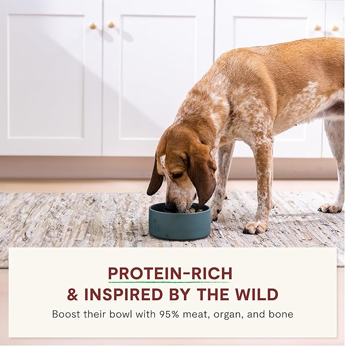 Open Farm, RawMix Freeze Dried Raw Morsels, Dog Food Topper & Mixer, High Protein & Bone Broth Infused with 95% Real Meat, Organs & Bones, Tide & Terrain Recipe with Beef, Salmon & Pollock, 13.5oz Bag