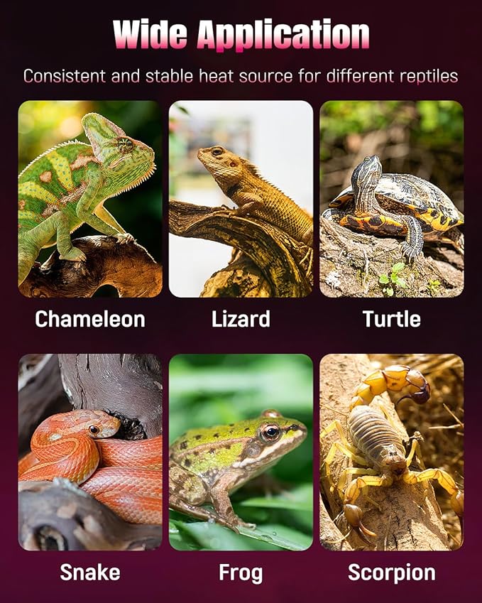Pawfly 28 W Reptile Heat Pad 11 x 11 Inch Reptile Heating Pad Under Tank Terrarium Safe Fast Heating Mat Heat Mat for Turtles Frogs Snakes Lizards Geckos Hermit Crabs Spiders & Other Reptiles