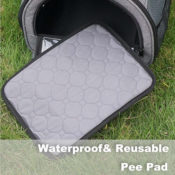 Rabbit Carrier, Small Pet Carriers for Guinea Pig Hamster Bird Bunny Bearded Dragon Kitty, Animal Bag with Stable Handle and Waterproof Pad, Easy Travel and Vet Visit-Large