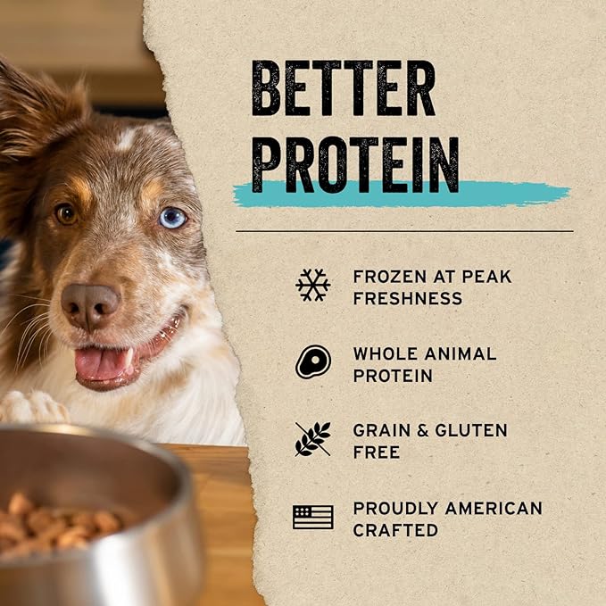 Vital Essentials Freeze Dried Raw Protein Mix-in Dog Food Topper, Beef Mini Nibs Topper for Dogs, 18 oz