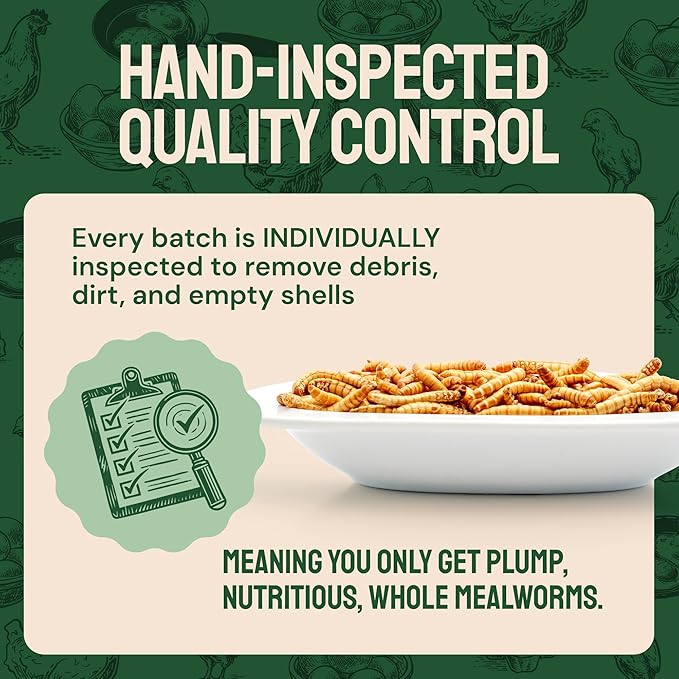 Dried Mealworm Bird Food - 20 Lb Bulk Pack - High Protein Poultry & Chicken Feed - Duck Food & Wild Bird Feed & Quail Treats
