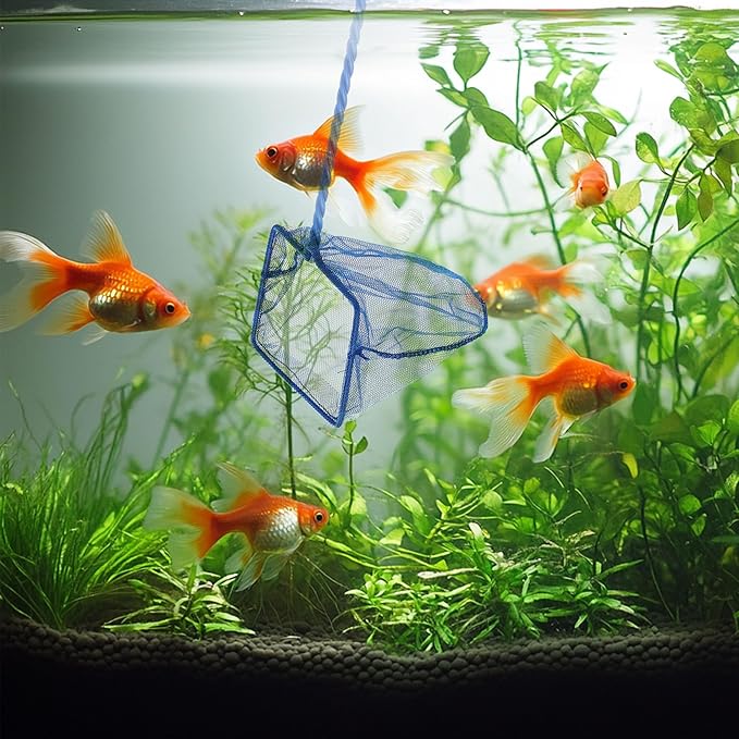 3 Pack Aquarium Net, Multi-Size Fine Quick Fish Catch Nets Extra Soft Nylon Fishing Nets with Plastic Handle for Aquarium Fish Tank Supplies- Blue (4in,5in, 6in)