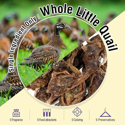 3.52oz/100g Freeze Dried Little Quail, Dogs Cats Treats with High Protein, Single Ingredient Pet Snacks, Healthy Tasty Dry Pet Food