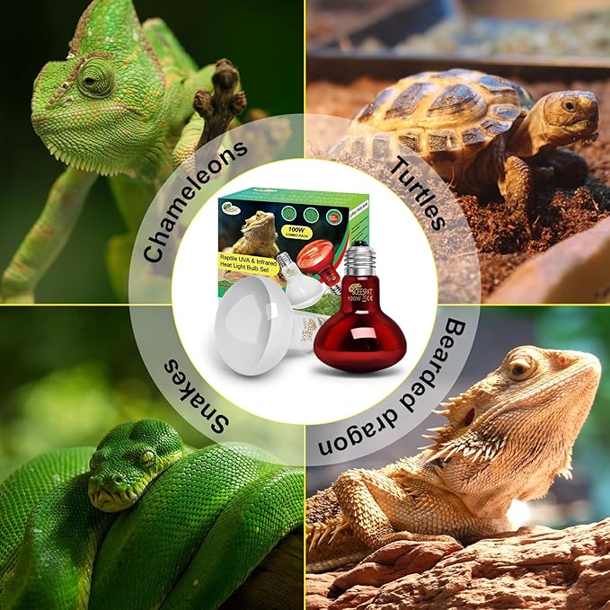 100W Daylight Basking Light Bulb & Infrared Heat Lamp Bulb for Amphibians Reptiles Bearded Dragon, Turtle, Lizard, Snakes, Geckos, ...