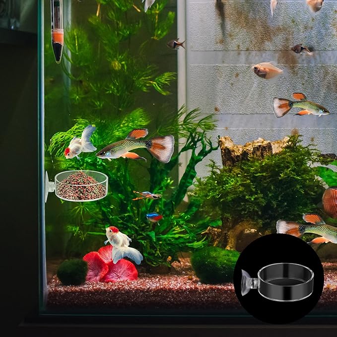 60mm Fish Tank Feeder Dish Aquarium Shrimp Feeder Dish with Suction Clear Fish Tank Feeding Bowl Round Clear Dishes Tray(2pcs)