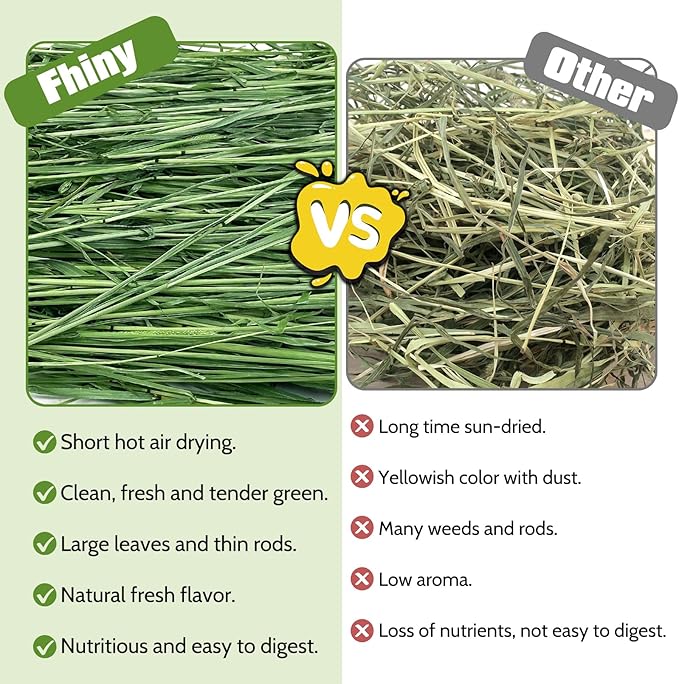 Fhiny Timothy Hay for Rabbit, 1.1LB Hand-Selected Premium Natural Timothy Hay Chinchilla Hay Hamster Food for Bunny Guinea Pig Chinchilla Hamster & Other Small Animals