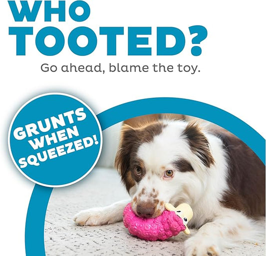 Outward Hound Tootiez Sheep Grunting Latex Rubber Dog Toy, Small