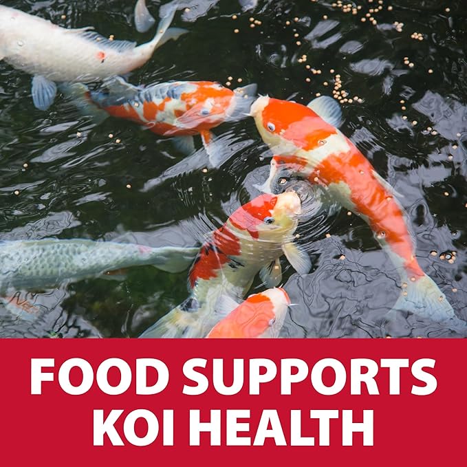 The Pond Guy Staple Fish Food for Backyard Koi & Goldfish, Choice Floating Pellets for Fish Wellness & Health, Smart Nutrition for Clean Ponds, 2 lbs