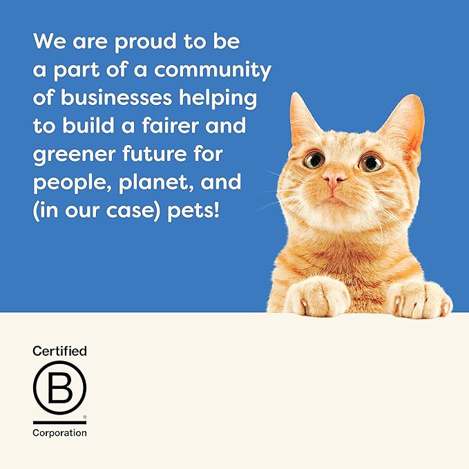 Applaws Wet Cat Food, 24 Count, Limited Ingredient Canned Wet Cat Food, Tuna Fillet with Cheese in Broth, 2.47oz Cans