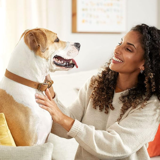 Rachael Ray Nutrish Dog Chews Soup Bones With Real Beef & Barley, 24 Dog Treats