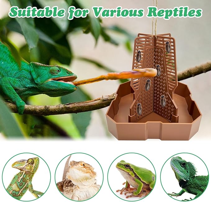 2 PCS Chameleon Feeding Bowl Hanging Bearded Dragon Feeder Bug Bowls with Rope and Tweezers Mounted Insect Reptile Feeder Box for Lizard Gecko Frog (Brown, Small)