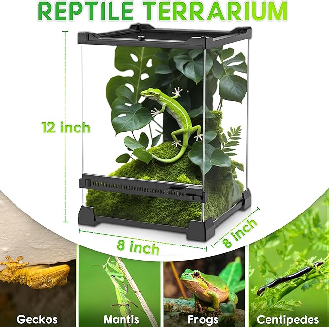 Mini Reptile Glass Terrarium 8"x8"x12" Durable Reptile Habitat Tank with Heat Resistant Aluminum Alloy Frame, Single Swinging Doors for no Jam by Sand and Other Debris