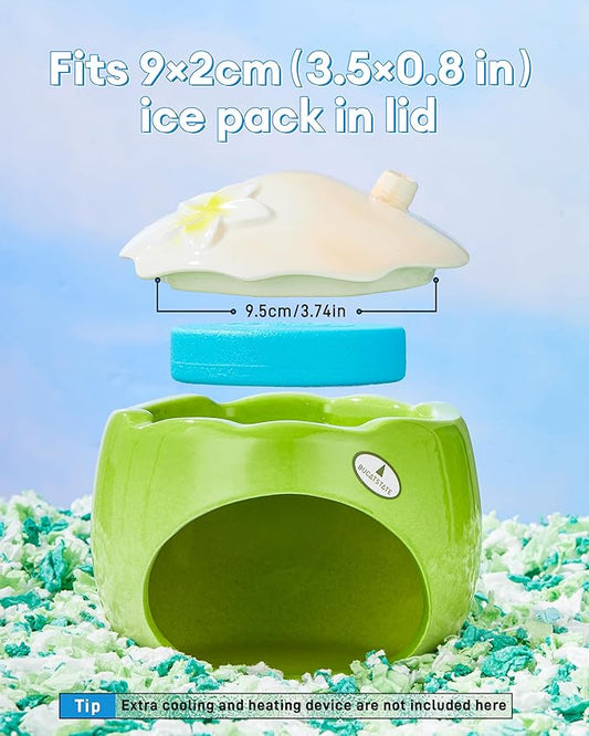 BUCATSTATE Coconut Shape Ceramic Hamster Hideout with Removable Lid & Ice Compartment - All-Season Cool Bed for Dwarf Hamster, Gerbil, Mice, Golden Bear - Large Green Small Pet House Habitat
