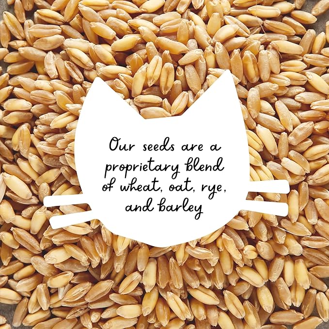 The Cat Ladies Organic Cat Grass for Indoor Cats - Growing Kit with Organic Seed Mix, Soil and Black Cat Planter. Natural Hairball Control and Digestion Remedy, Cat Gifts