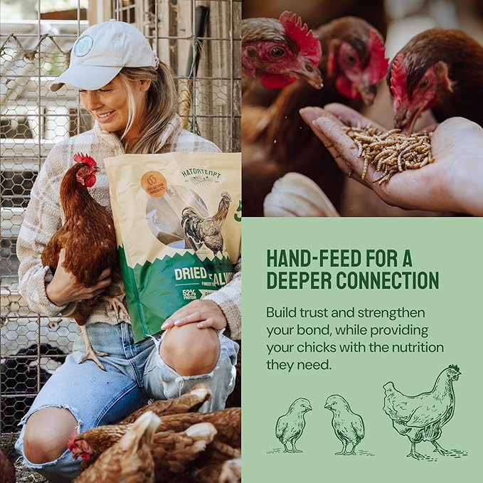 Dried Mealworm Bird Food - 20 Lb Bulk Pack - High Protein Poultry & Chicken Feed - Duck Food & Wild Bird Feed & Quail Treats