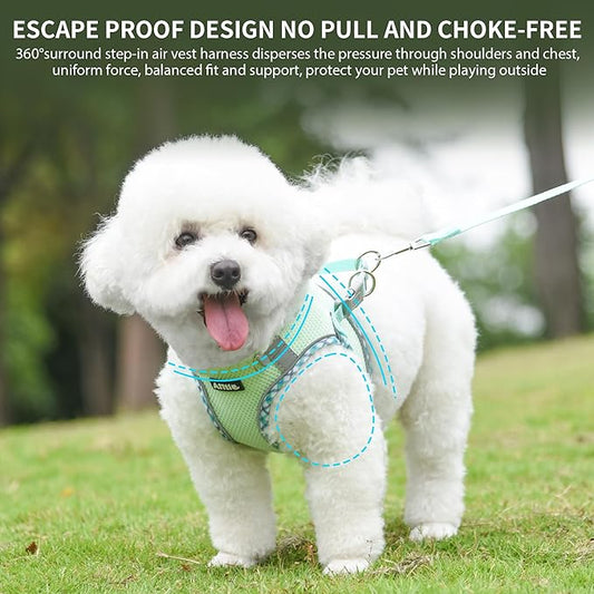 AIITLE Teacup Puppy Harness with Leash - Adjustable Soft Vest with Magic Tape & Reflective Safety Strips, Easy-Put-On for Poodles, Pomeranians - Gym, Hiking, Travel (Sage, S)