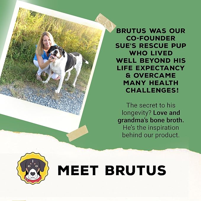 Brutus Broth Skin and Coat Meal Toppers for Dogs Mega Pack (Salmon Flavor) - Vegetable Broth Powder with Omegas 3, 6 & 9 - Dog Food Toppers for Dry Food - Makes 130oz of Liquid Bone Broth
