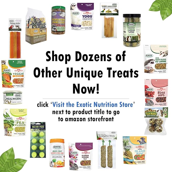 Exotic Nutrition Antler Chews - Safe Small Animal Chew - Natural Source of Healthy Minerals - Chinchilla, Hamster, Degu, Prairie Dog, Squirrel and Other Chewing Pets