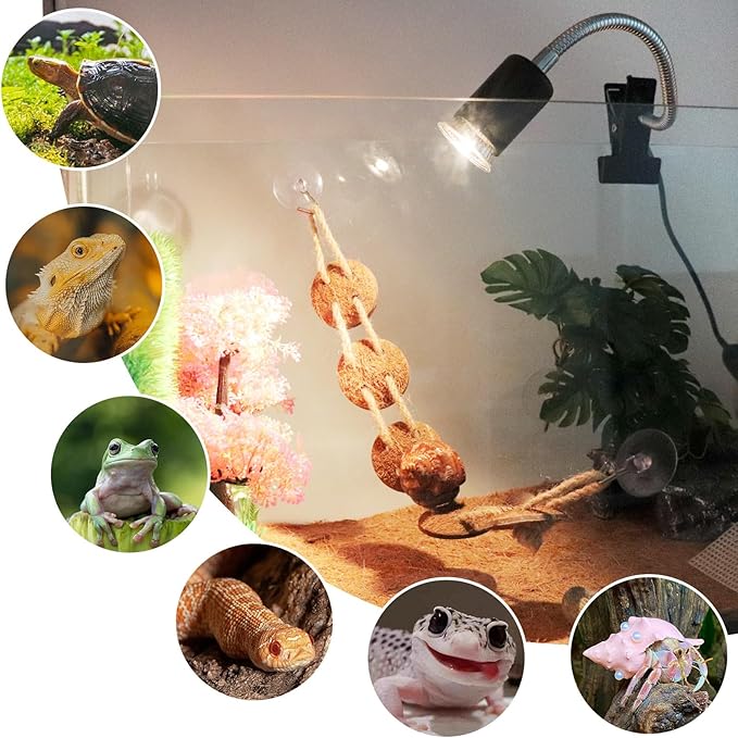 Reptile Tank Accessories, Reptile Heat Lamp with Clamp and 2 Bulb (25W + 50W) , Hermit Crab Heater, Tortoise Habitat Accessories, Turtle Heat Lamp, Reptile Terrarium for Lizard, Hermit Crab, Tortoise