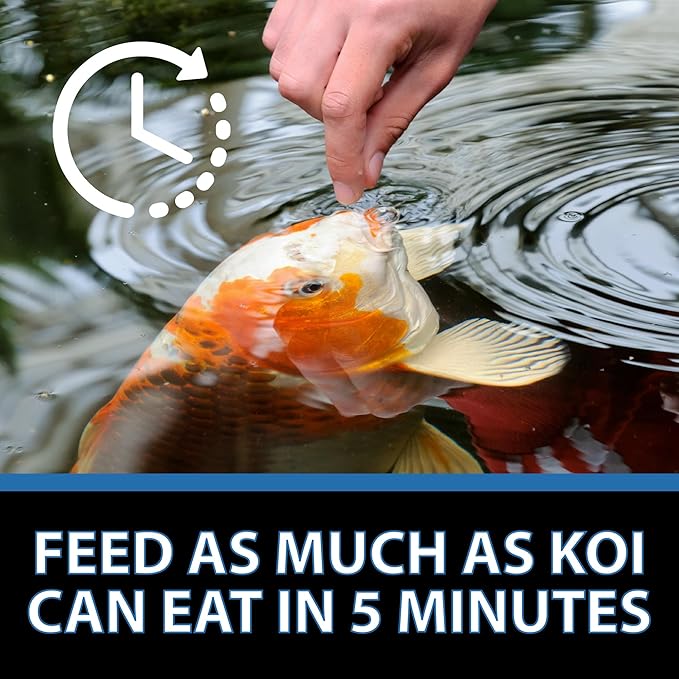 CrystalClear Platinum Fish Food, Premium Floating Pellets for Koi & Goldfish – Boost Growth, Color, and Wellness in Backyard Ponds & Water Gardens, 3mm Pellets, 2.2 Pounds