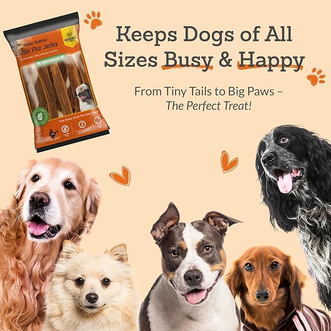 Gullet Flat Jerky (6" Long, 30 Count/Pack) Buffalo Dog Treats for Large, Medium & Small Breed, Healthy Training Treats for Dogs, Gluten Free & Odor Free, Easily Digestible - 1lb