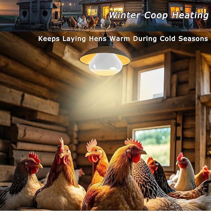 75W UVA Reptile Heat Lamp Bulbs, Basking Spot Light for Bearded Dragon, Lizard, Tortoise, Chicks & Amphibians – Simulated Sunlight, Daylight Bulb for Aquariums & Tanks | 2 Pack, 2.5 Inch