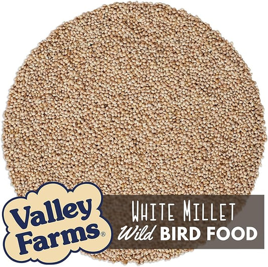 Valley Farms White Millet Wild Bird Seed (5LB) for Outside feeders, White proso Millet, Bird Watcher Secret Wild Bird Food to Attract Colorful Painted Buntings in Southern USA