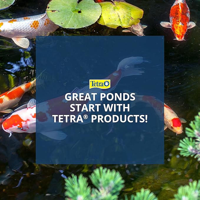 TetraPond Spring and Fall Diet 7.05 Ounces, Pond Fish Food, for Goldfish and Koi (Pack of 2)