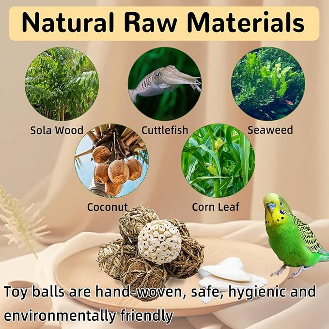 Bird Toys Sola Balls Parakeet Toys Soft Natural Chew Grass Balls with Cuttlebone for Parrots Conures Rabbits Hamster Guinea Pig Chinchilla (Style 1, 10 PCS)