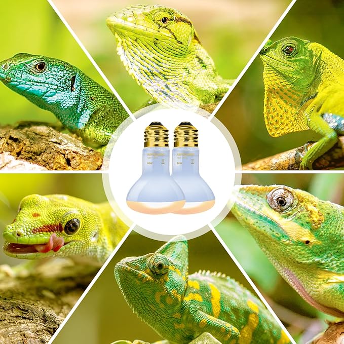 REPTI ZOO Reptile Heat Lamp, 2 Pack 50W Daylight Basking Spot Lamp for Reptiles UVA Daylight Heating Lamp Bulb Basking Light for Bearded Dragon, Tortoise, Geckos, Chicken