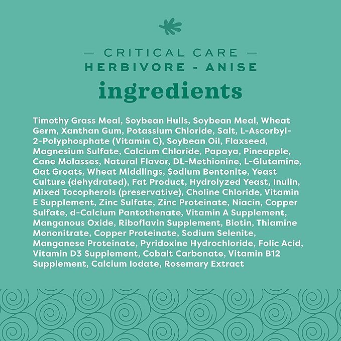 Oxbow Critical Care Herbivore, Emergency Guinea Pig Food, Rabbit Food for Recovery, Natural Anise Flavor, Veterinary Formula, Critical Care for Guinea Pig Emergency Kit, 141 gram bag