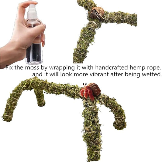 Hermit Crab Accessories – 6PCS Natural Hermit Crab Toys Climbing Bridge, Shells, Coconut Hideout, Moss and Plants for Hermit Crabs Habitat & Reptile Tank Decor