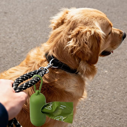 Dyforce Scented Dog Poop Bags,Leak Proof Pet Waste Bags for Dog Walking,Extra Thick and Large Cat Litter Bags for Poop,30 Refill Rolls,600 Bags,9x13",Green