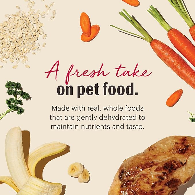 The Honest Kitchen Dehydrated Whole Grain Chicken Dog Food, 7 lb Box